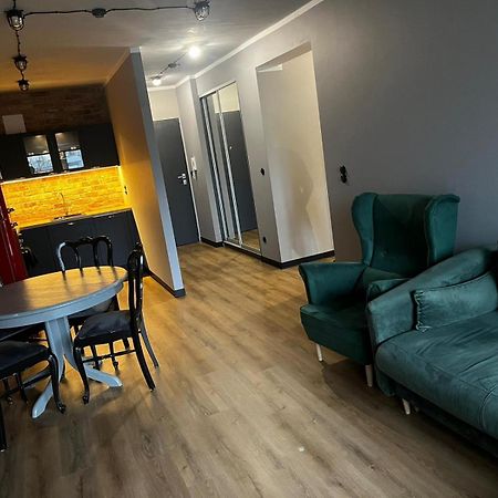 Apartament Z Widokiem Na Stadion Styl Industrialny Jedyny Taki Check In 24 H Познань Экстерьер фото